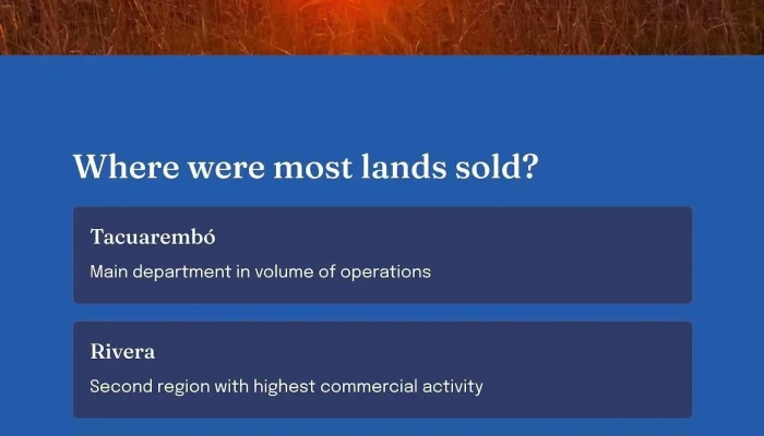 Escritorio Arrospide -  Mas Recientes - Florida