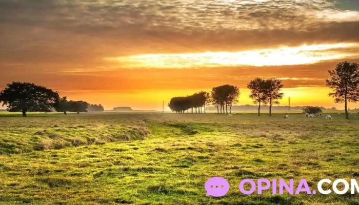 Escritorio Carlos Viola -  Descuentos - Carmelo