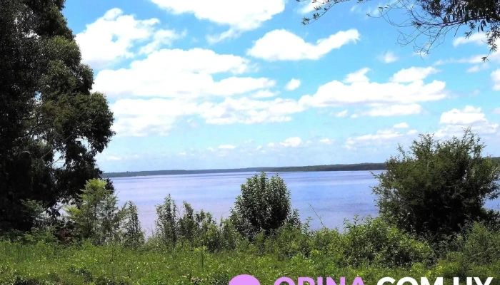 Escuela 102 -  Comentarios - Departamento de Paysand&uacute;