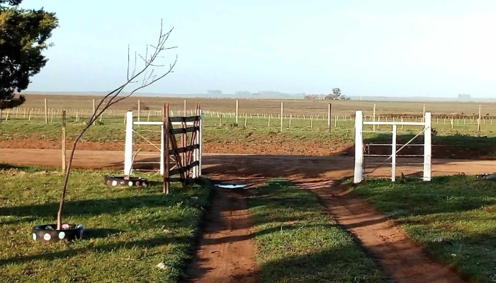 Escuela 108 -  Zona - Laureles