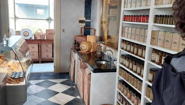 Escuela 113 -  Direccion - Nueva Palmira