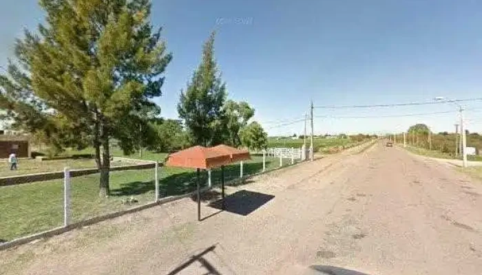 Escuela 113 -  Direcciondeg - Nueva Palmira