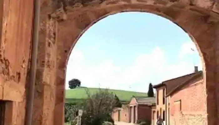 Escuela 113 -  Videos - Nueva Palmira