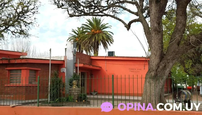 Escuela 140 Dr Mateo Legnani Instagram - Santa Lucía