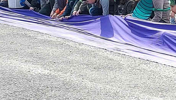 Escuela 167 Juan Jose Morosolisolicomercio 2140esquina Mateocabral -  Catalogo - Montevideo