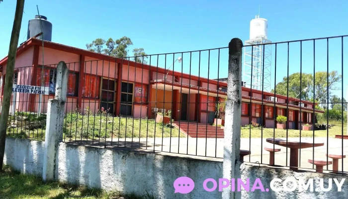 Escuela 18 -  Comentarios - Minas