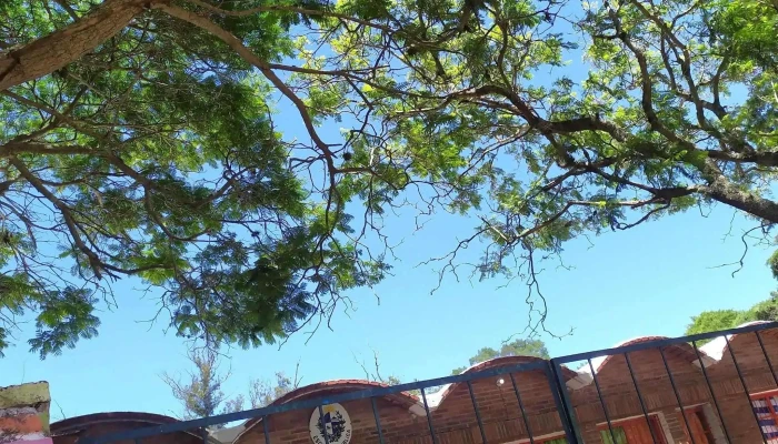 Escuela 200 -  Promocion - Santa Lucía del Este