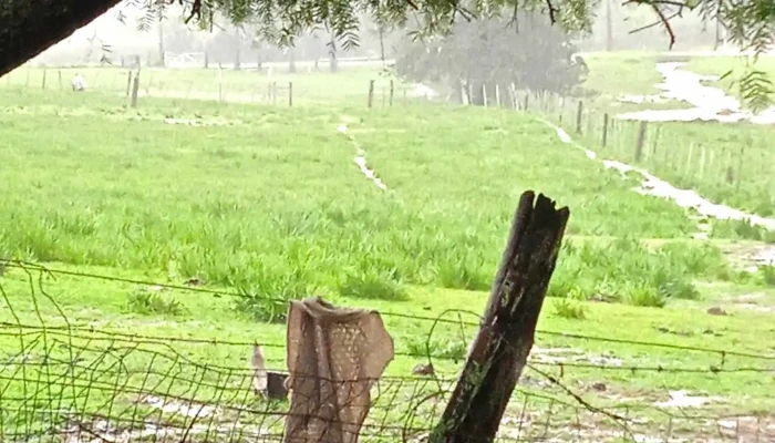 Escuela 23 -  Instagram - Florida