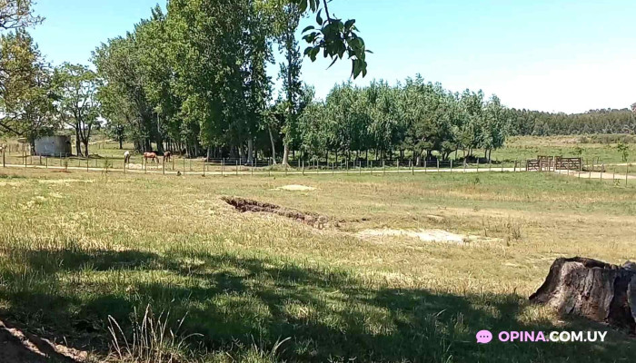 Escuela 28 -  Videos - Ecilda Paullier