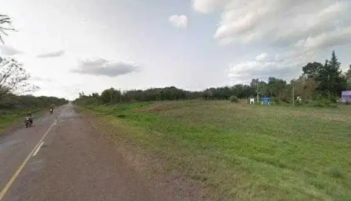 Escuela 29 Rincon Del Pintado -  Catalogo - Artigas