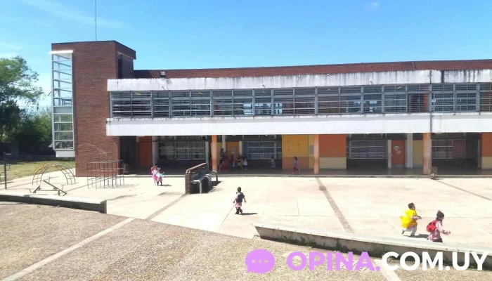 Escuela 291 -  Comentarios - Casarino