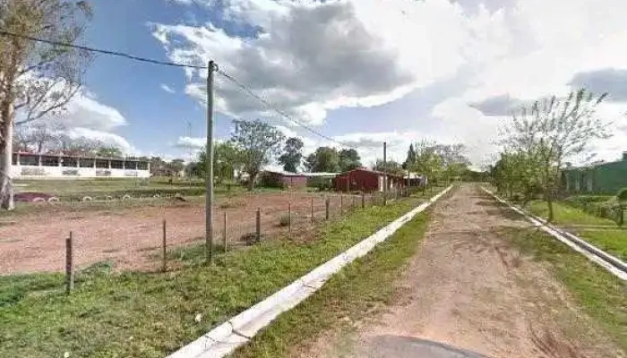 Escuela 32 -  Comentariosdeg - Blanquillo