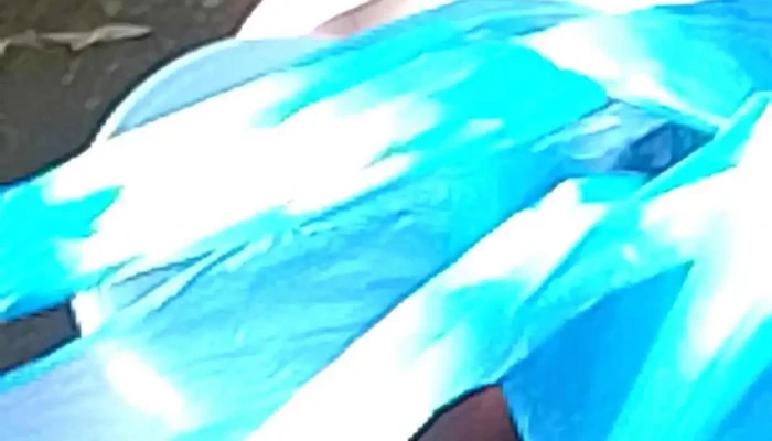 Escuela 320 -  Videos - Montevideo