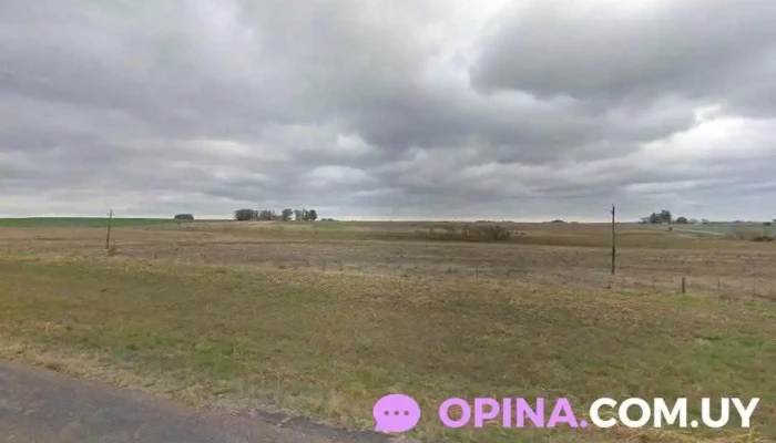 Escuela 70 - Departamento De Paysandú