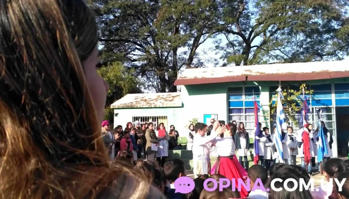 Escuela 8 Y 119 -  Videos - Salto