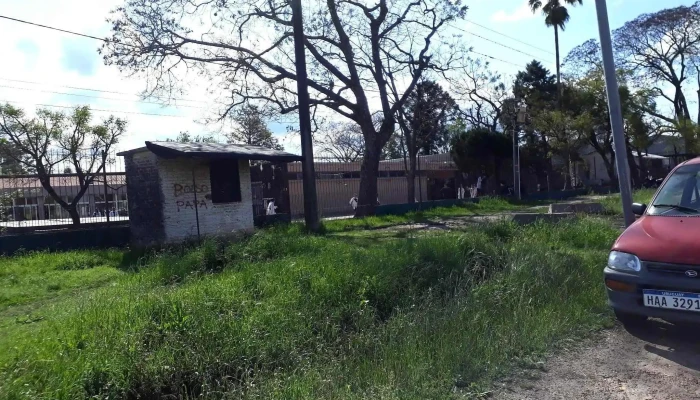 Escuela 81 Enrique Amorim -  Numero - Salto