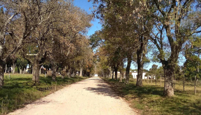 Escuela Agraria De Trinidad Utu Sitio Web - Trinidad