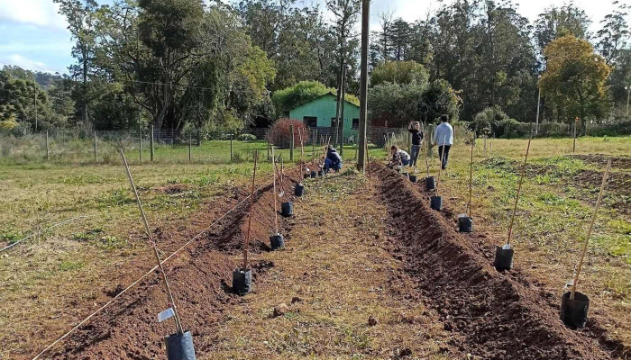 Escuela Agraria Minas Utu -  Videos - Minas