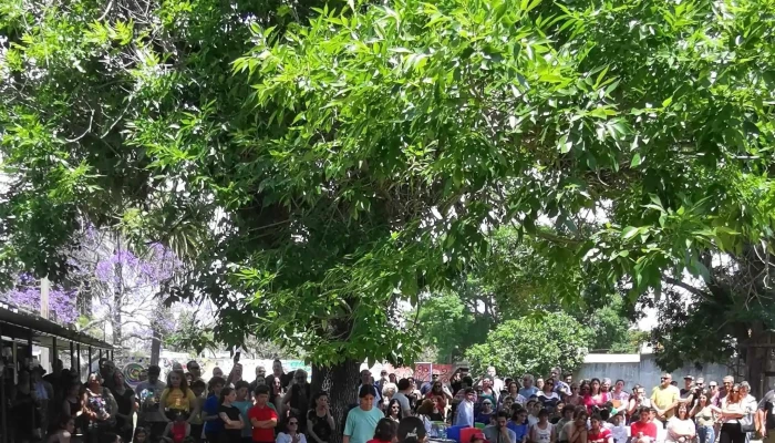 Escuela Belgica No36 Horario - Montevideo