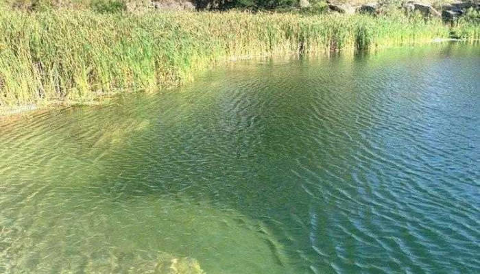 Escuela Buceo Aventura Uruguay -  Del Propietario - Montevideo