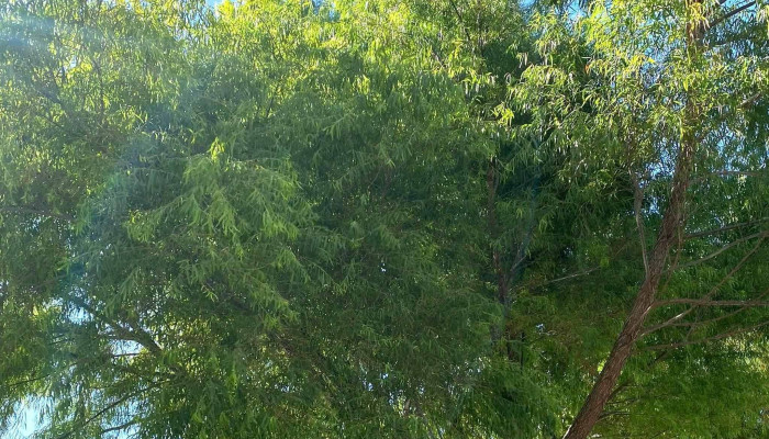 Escuela De Canotaje -  Ciudad De La Costa - Ciudad de la Costa