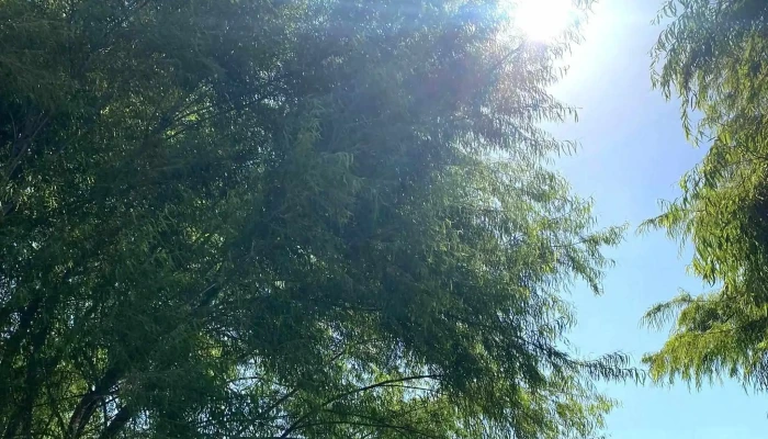 Escuela De Canotaje -  Horario - Ciudad de la Costa