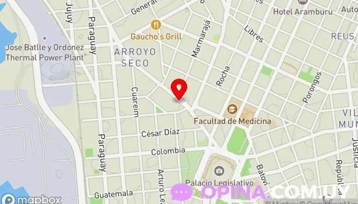 mapa de Escuela de Danza Carolina Canale Academia de baile en Montevideo