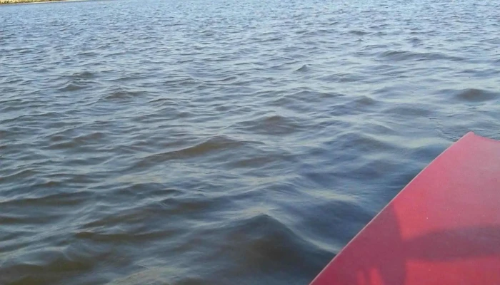 Escuela De Remo De Punta Carretas -  Abierto Ahora - Montevideo