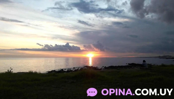 Escuela De Remo De Punta Carretas -  Plaza Canada - Montevideo