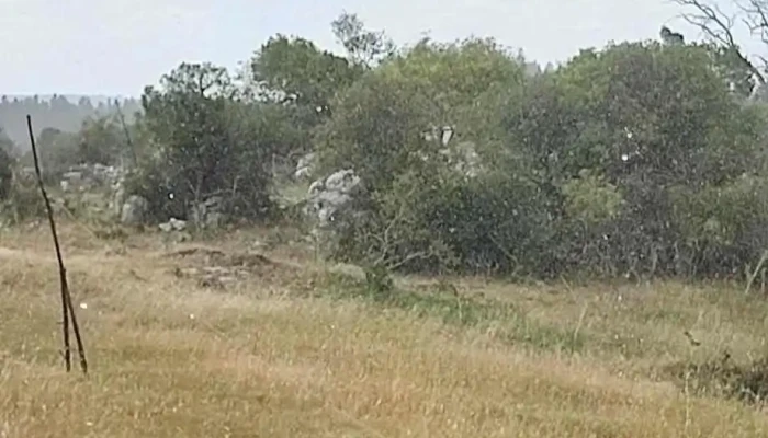 Escuela De Tiempo Completo En Jose Pedro Varela Lavalleja -  Comentarios - José Batlle y Ordóñez