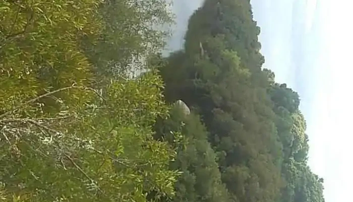 Escuela De Tiempo Completo Ndeg 100 De San Jose De Mayo Videos - San José de Mayo