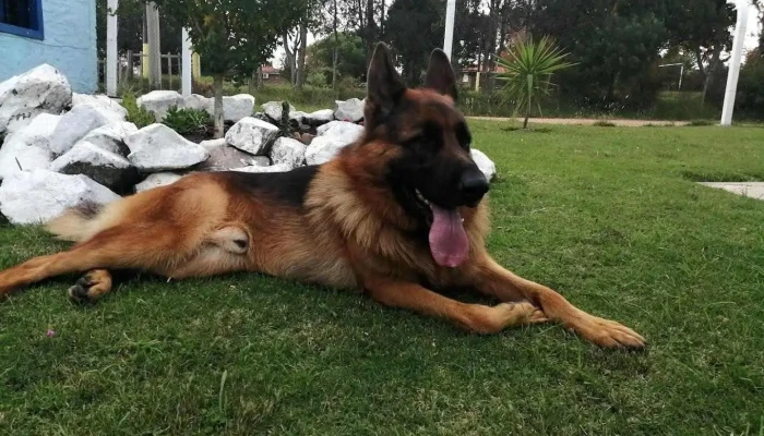 Escuela Departamental de Policía Florida - Florida