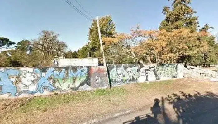 Escuela Experimental De Las Piedras -  Sitio Webdeg - Las Piedras