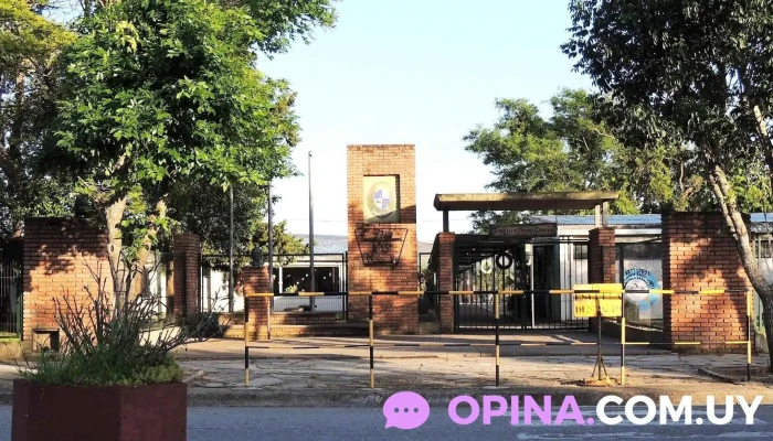 Escuela Joaquin Torres Garcia Puntaje - Mariscala