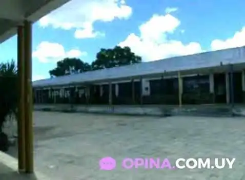 Escuela N 197 Holanda -  Instagram - Las Piedras