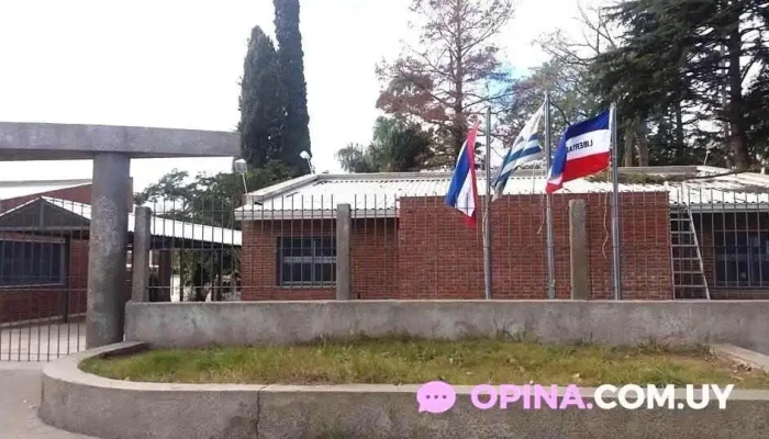 Escuela N 236 Todo - Montevideo