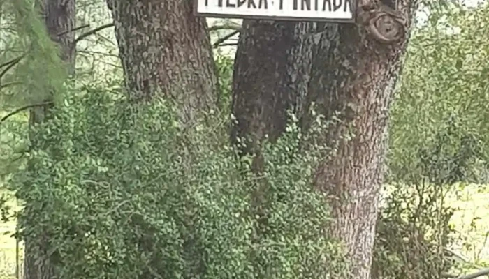 Escuela N 61 Piedra Pintada -  Precios - Departamento de Artigas