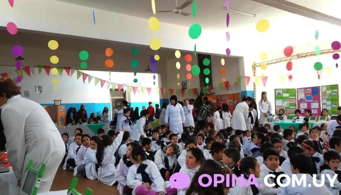 Escuela Ndeg 105 Como Llegar - San Jacinto