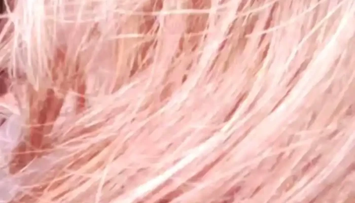 Escuela Ndeg 117 Videos - Salto