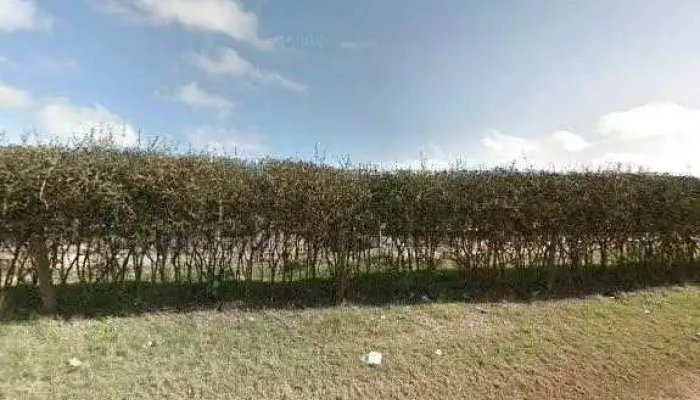 Escuela Ndeg 12 Abierto Ahoradeg - Salto