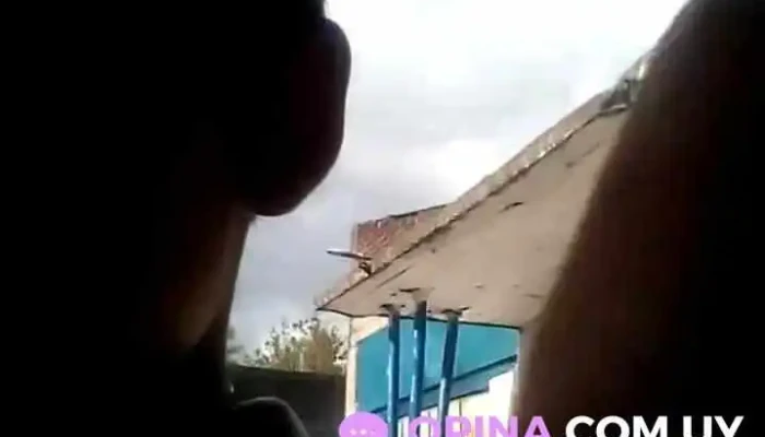 Escuela Ndeg 173 Videos - Las Piedras