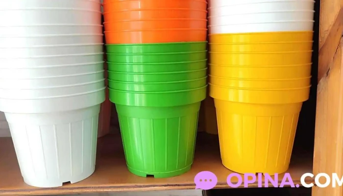 Escuela Ndeg 2 Fotos - Salto