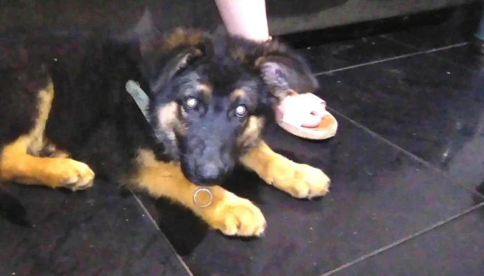 Escuela Ndeg 2 Jose Pedro Varela Rivera Numero - Rivera