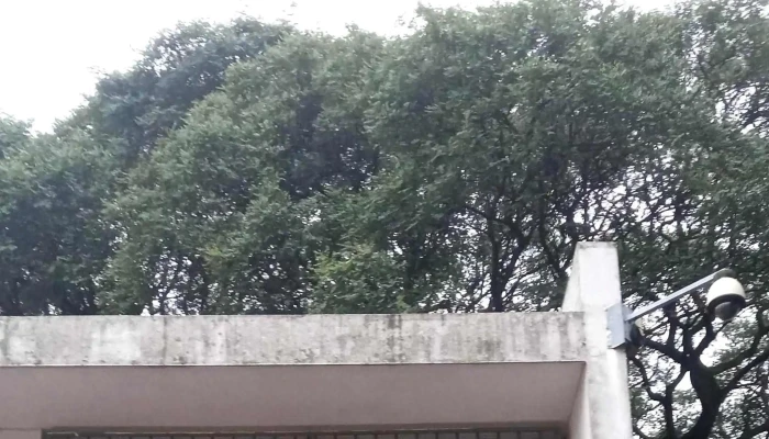 Escuela Ndeg 23 Tomas Claramount Precios - Montevideo