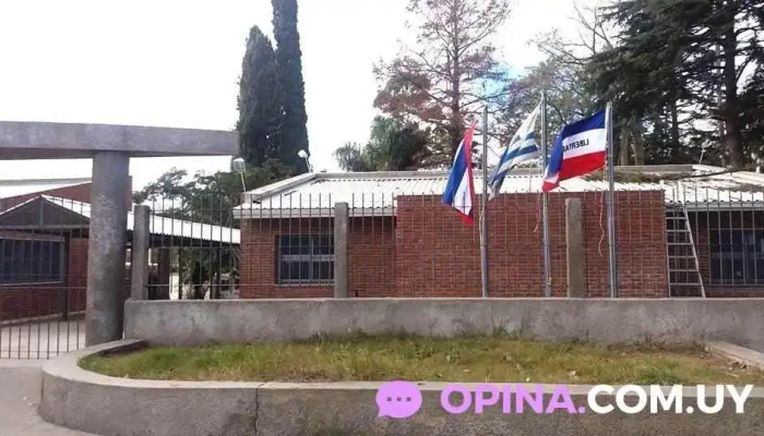 Escuela Ndeg 236 Como Llegar - Montevideo