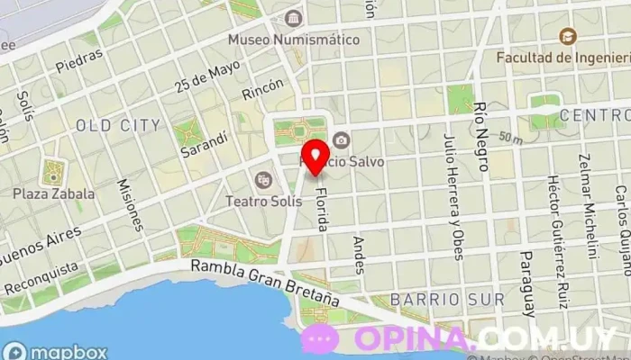 mapa de Escuela N° 239 Escuela primaria en Montevideo