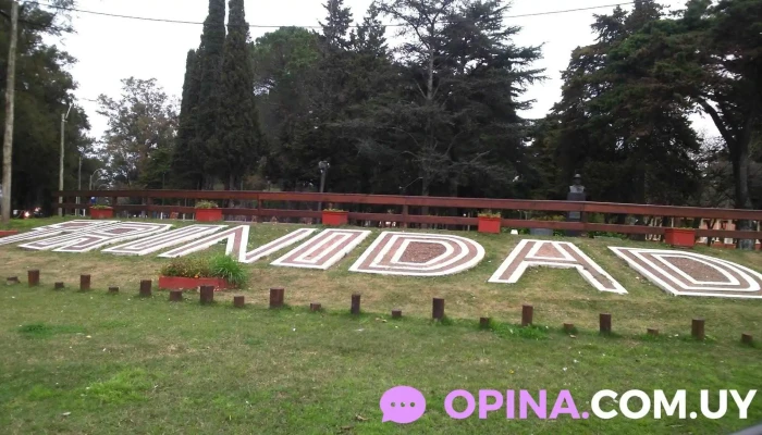 Escuela Ndeg 4 Ribot Donde - Trinidad