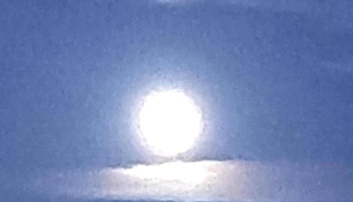 Escuela Ndeg 41 Republica Del Ecuador Numero - Montevideo