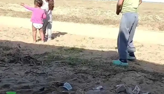 Escuela Ndeg 44 Videos - Rocha