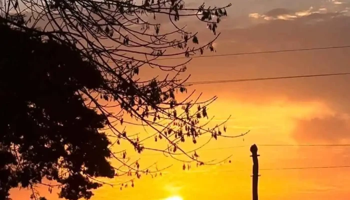 Escuela Ndeg 73 Videos - Santa Lucía